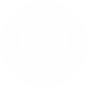 Seguridad integral